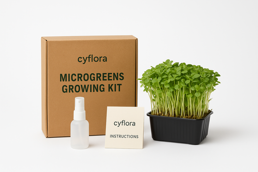 Cyflora Microgreens Growing Kit – Fresh Greens in Just 7 Days